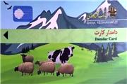 263 میلیارد ریال تسهیلات دامدار کارت در کرمان پرداخت شد