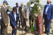 بزرگترین پارک جنگلی شرق کرمان آماده بهره‌برداری شد