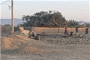 آخرین جزئیات از نقش پاکستان در انفجارهای روستای مرزی سراوان
