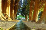روستاهای ییلاقی راور، معجزه‌ای در دل کویر