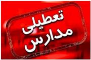 شیوع آنفلوآنزا مدارس کرمان را غیرحضوری کرد