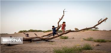 تالاب بی‌آب کرمان؛ جازموریان تشنه بودجه ملی