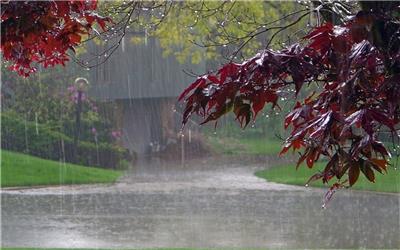 بارش باران در نیمه جنوبی کرمان