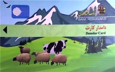 263 میلیارد ریال تسهیلات دامدار کارت در کرمان پرداخت شد
