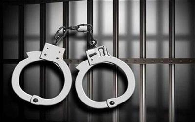 عاملان انتشار کلیپ ساختگی سیرجان دستگیر شدند