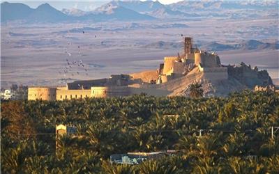 باغ شهر جهانی بم در سکوت مسئولان رو به نابودی است