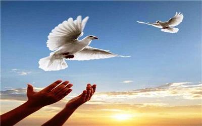 18 محکوم به قصاص در کرمان از اعدام رهایی یافتند