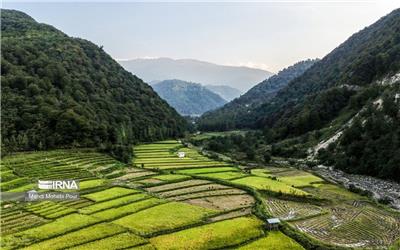 صدور سند مالکیت اراضی کشاورزی مجوزی برای تغییر کاربری نیست