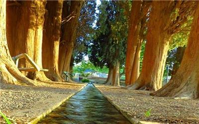 روستاهای ییلاقی راور، معجزه‌ای در دل کویر