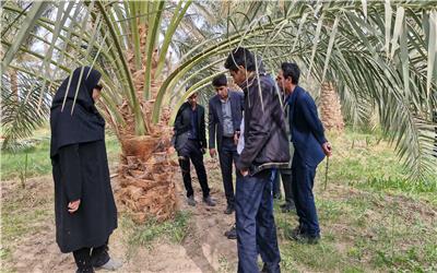 مانوری بر ای دفع افات در فهرج‌