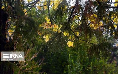 تداوم هشدارها در کرمان؛ ناپایداری‌های جوی تا صبح چهارشنبه