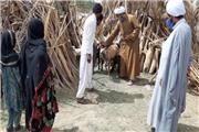 راه‌اندازی کاروان امید و شادی در روستاهای سیل‌زده ریگان توسط روحانیون