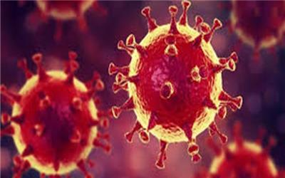 بزرگ‌ترین منبع ویروس کرونا شناسایی شد