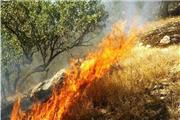 دستگیری عامل آتش‌سوزی محدوده جنگلی «دهبکری» بم