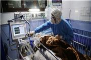 357 بستری قطعی مبتلا به کرونا در بیمارستان‌های کرمان