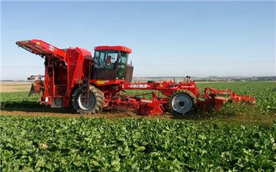 پرداخت تسهیلات کشاورزی در خراسان جنوبی 42 درصد افزایش یافت