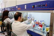 کرمان صاحب مرکز نوآوری سلول‌های بنیادی و پزشکی بازساختی می شود
