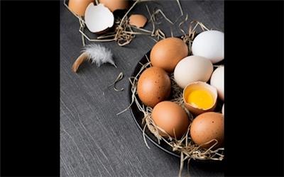 چهار عارضه زیاده روی در مصرف تخم مرغ