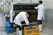 راه اندازی تنها مرکز تولید نوشیدنی خرما در ایران