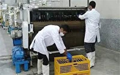 راه اندازی تنها مرکز تولید نوشیدنی خرما در ایران