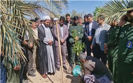 7000اصله درخت در فهرج غرس شد +عکس